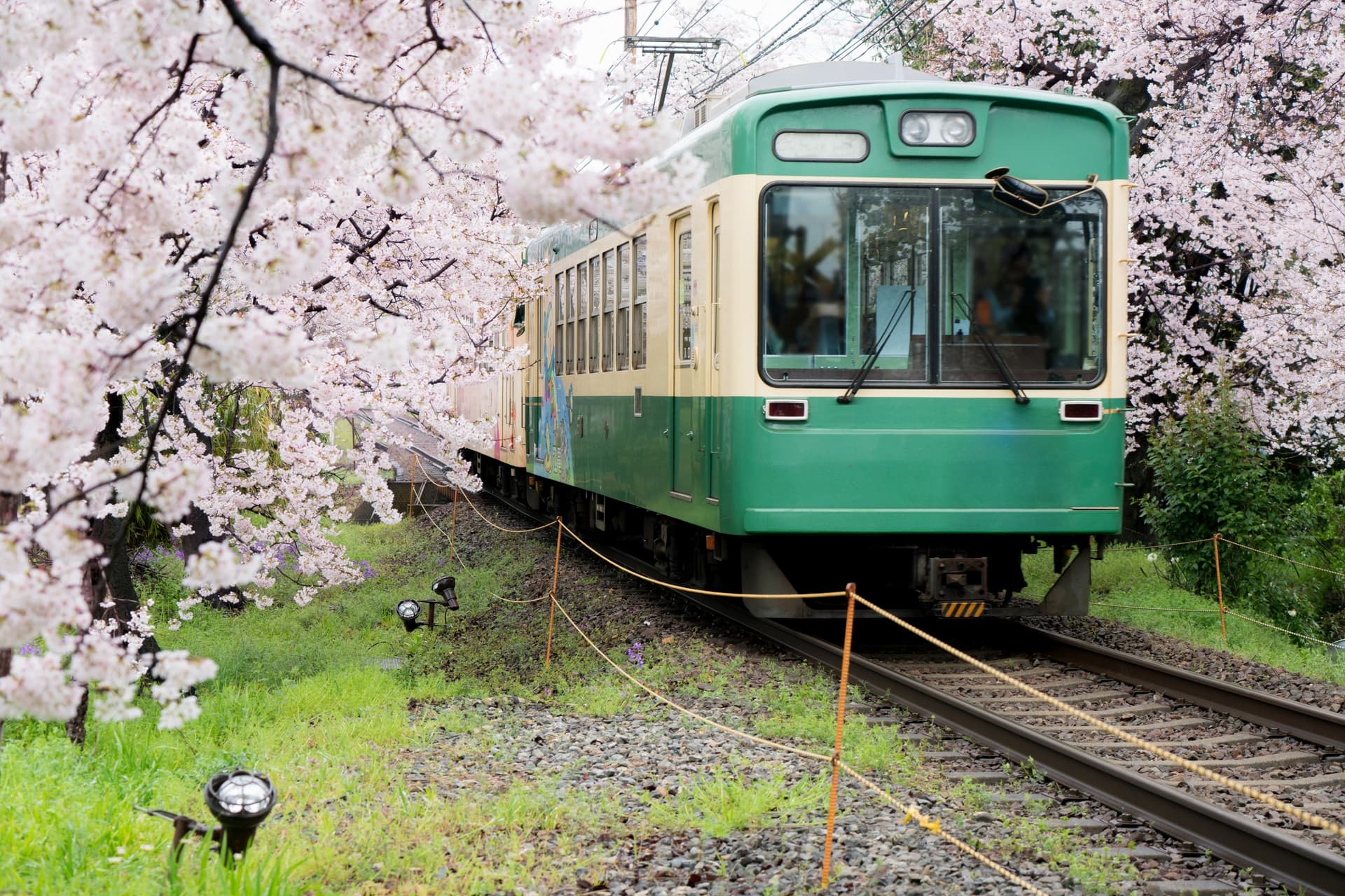 Desplazarse en Japón