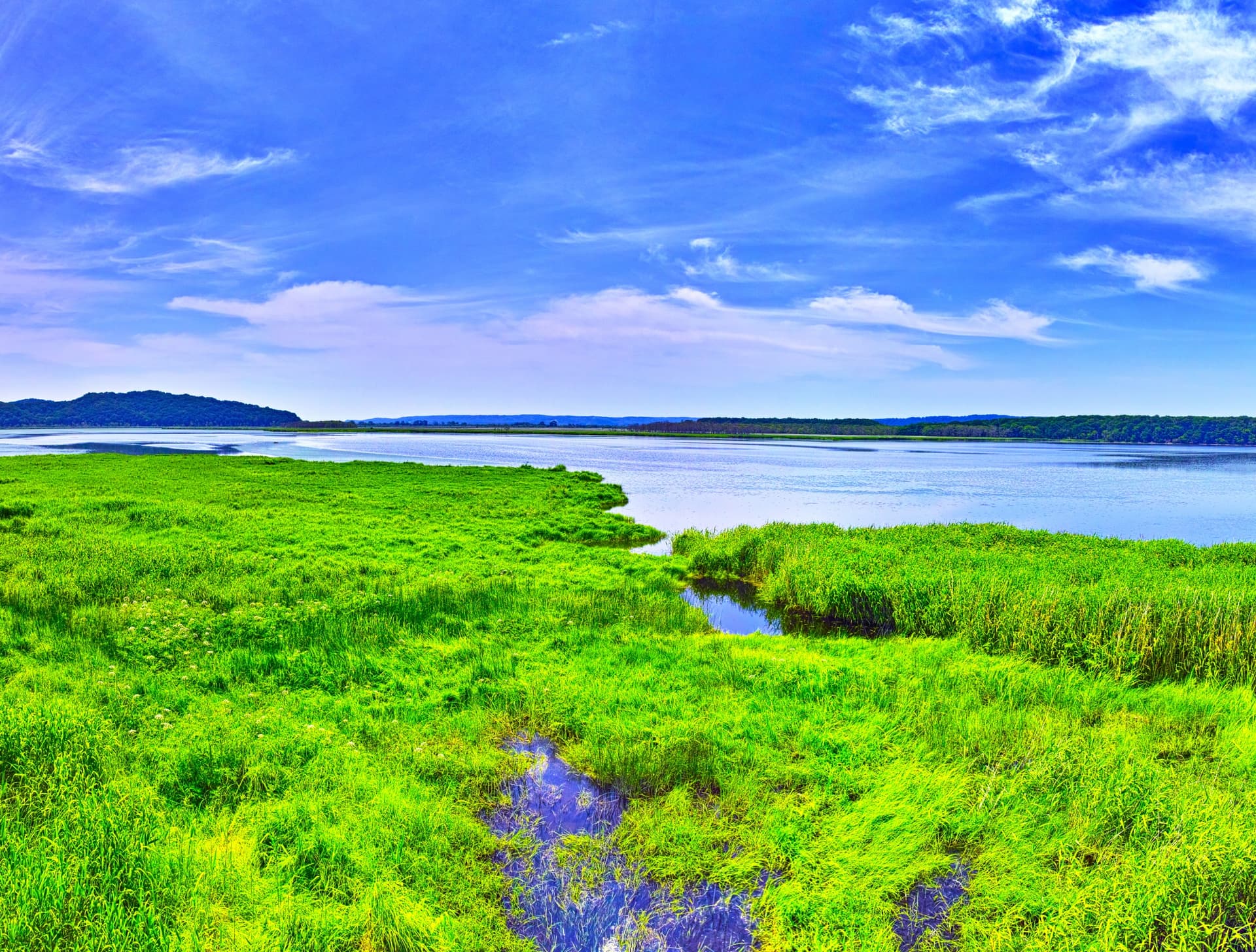 La Ciénaga de Kushiro