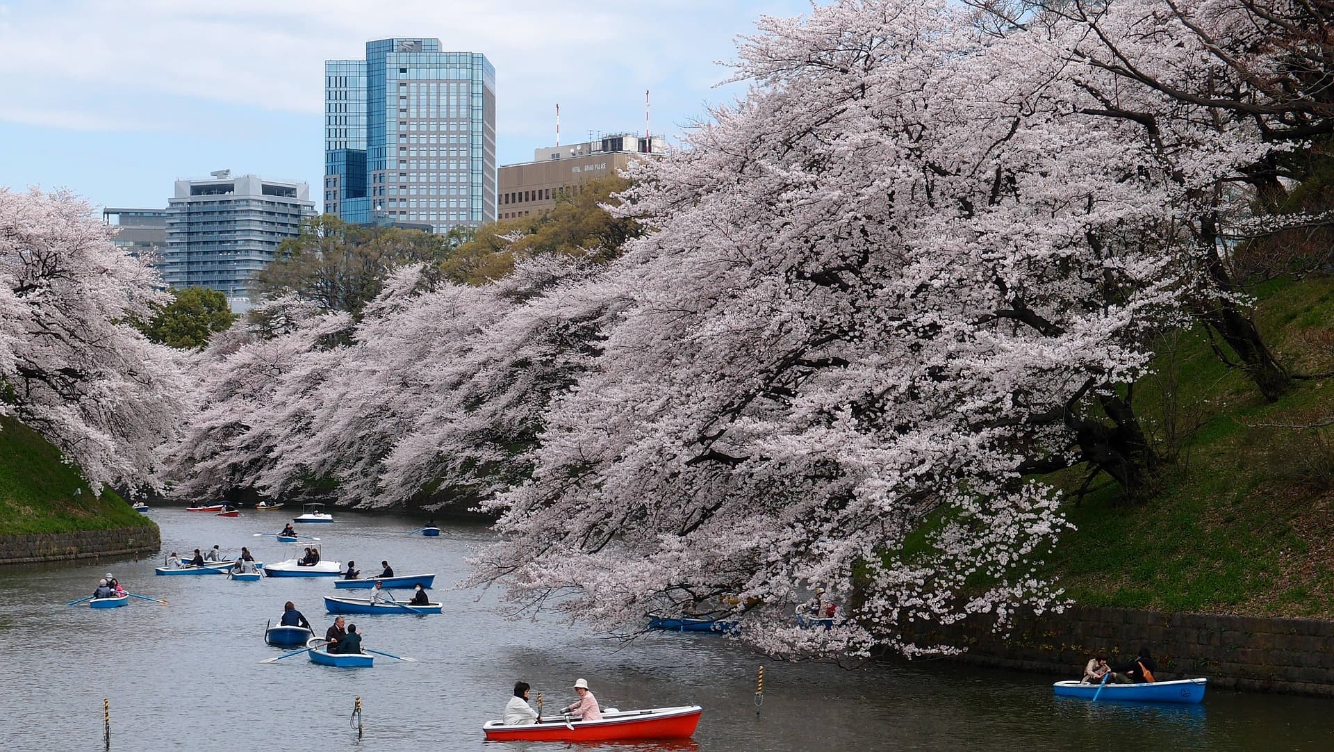 Qué visitar en Tokio, los consejos de Diane