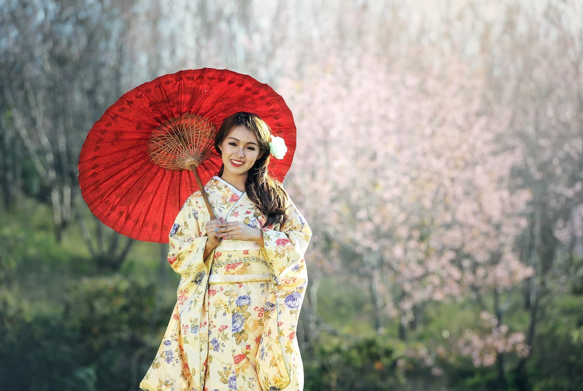 Descubre qué visitar en Kyoto en video (5 minutos)