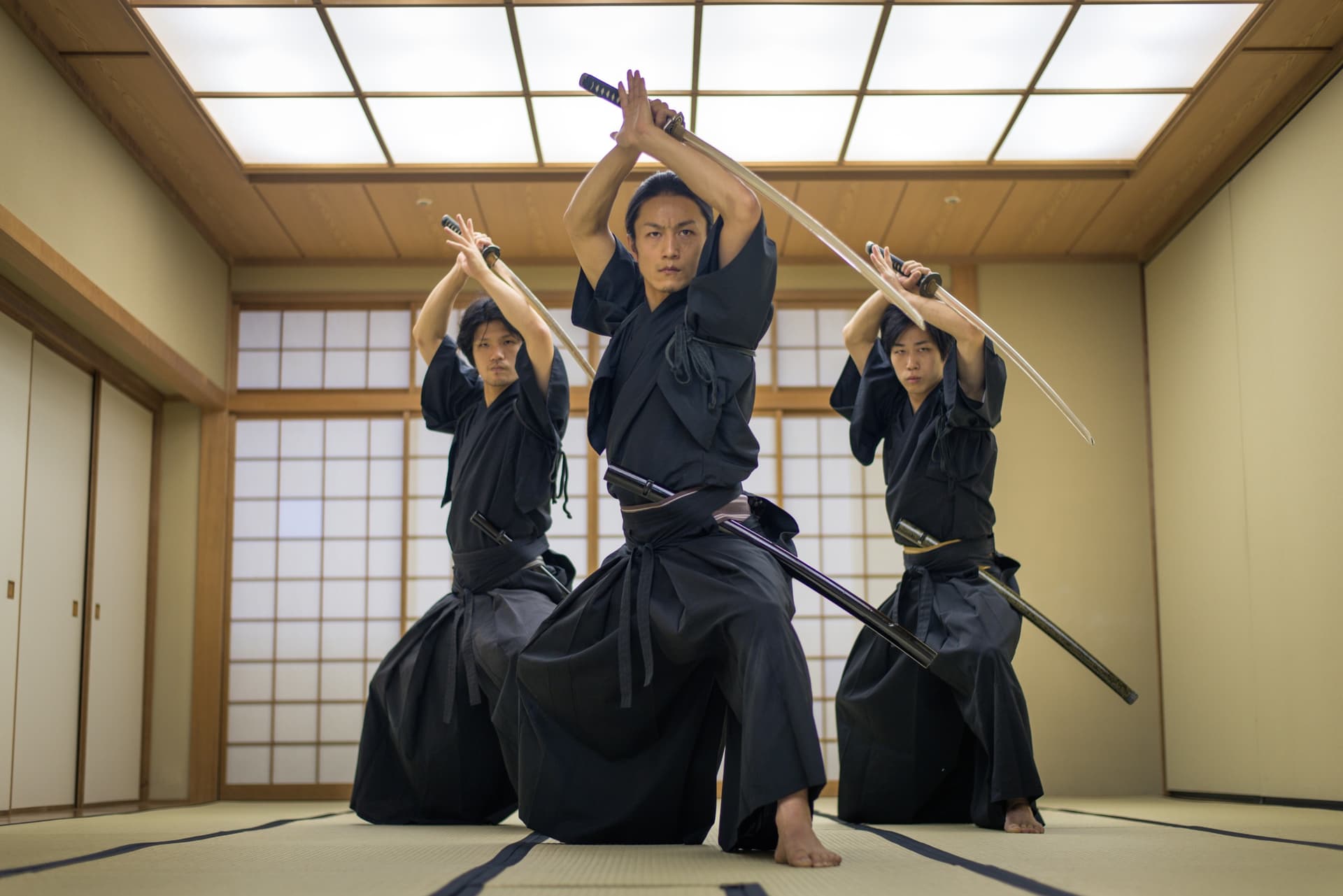 ¿Cuáles son los diferentes artes marciales japonesas?