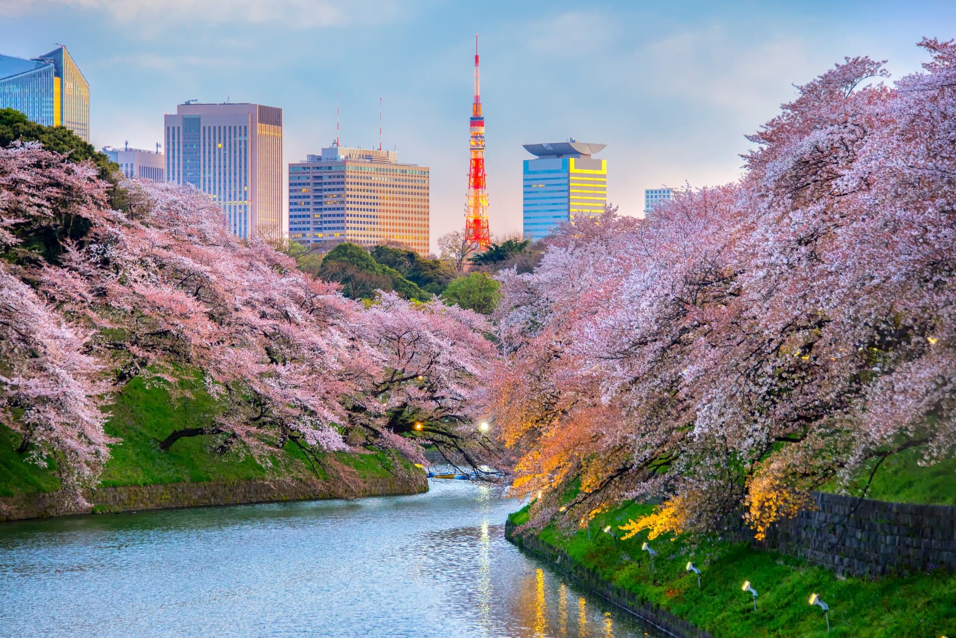Un hermoso video sobre Japón